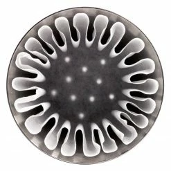 Coffee Makers Fellow Stagg [XF] Pour Over Set