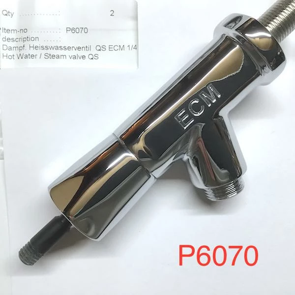 Parts & Repair ECM Steam And Hot Water Assembly 4 Parts & Repair ECM Steam And Hot Water Assembly