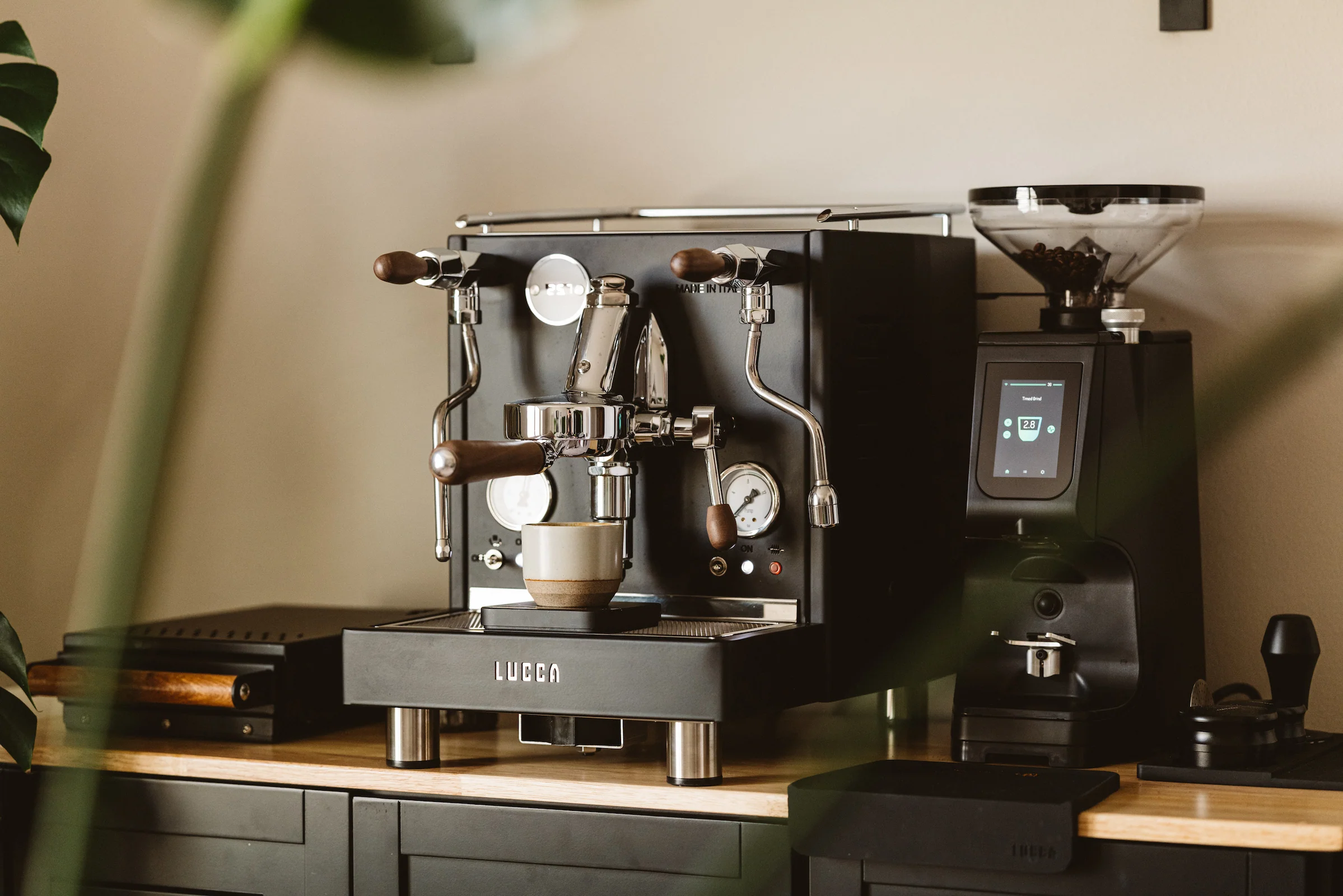 Clive Coffee Sales -Clive Coffee Shop Clive Coffeeq